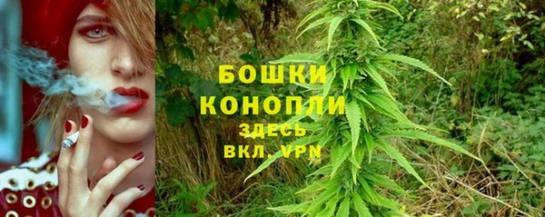 СК Белокуриха
