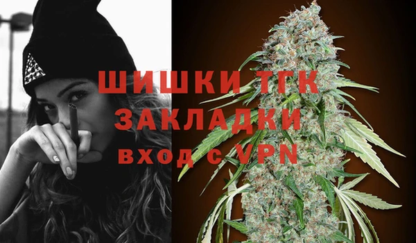 СК Белокуриха