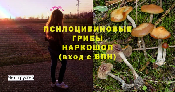 мяу мяу мука Белоозёрский