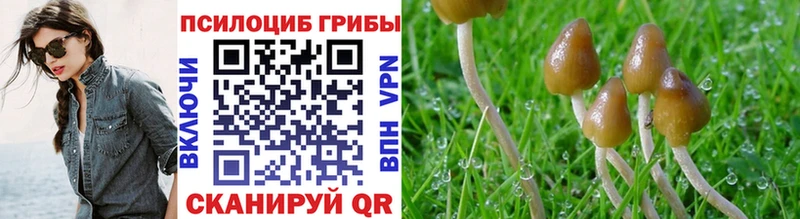 Галлюциногенные грибы Magic Shrooms  hydra ССЫЛКА  Венёв 